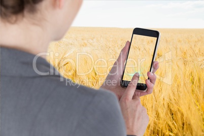 Businesswoman touching smartphone screen against wheat field background