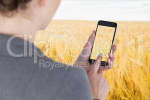 Businesswoman touching smartphone screen against wheat field background