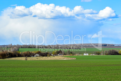 Rural landscape with a green field, clouds and farm