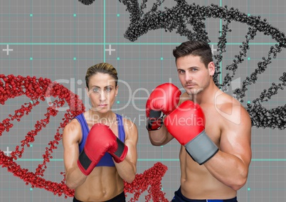 boxer couple with grey and red dna chains. Technology background