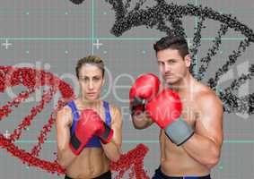 boxer couple with grey and red dna chains. Technology background