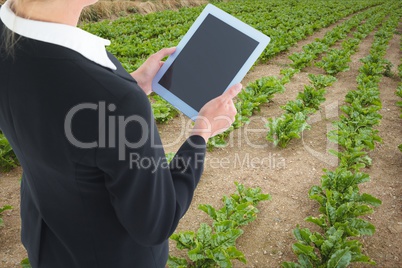 Businesswoman using a tablet in fields
