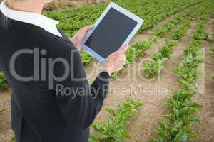 Businesswoman using a tablet in fields