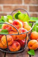 Fresh apricots with leaves in basket on wooden table