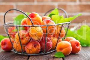 Fresh apricots with leaves in basket on wooden table