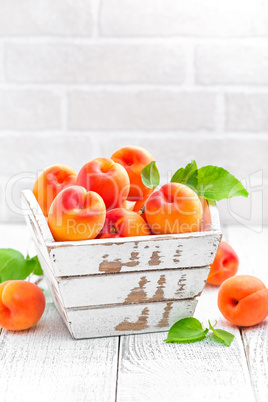 Fresh apricots with leaves on white wooden background