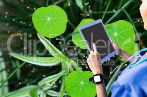Woman using her tablet against leaves