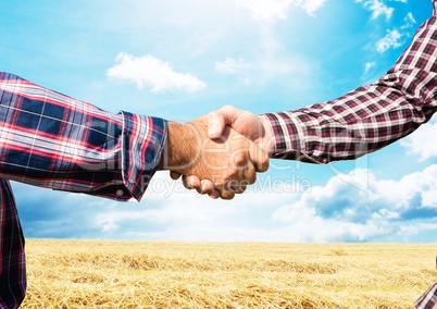 farmers handshake. farm