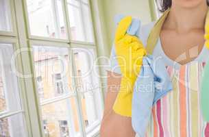 Woman cleaner against a window in the room