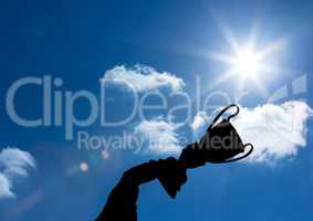 business hand  with trophy shade in the sky