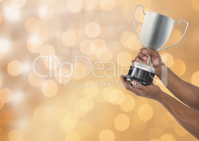 Hands holding trophy against bokeh