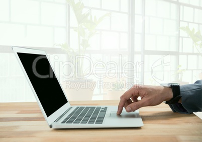 Businessman using laptop by bright windows with plants