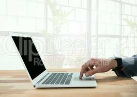 Businessman using laptop by bright windows with plants