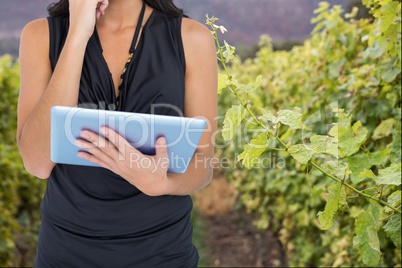 Woman model is holding a tablet computer against vineyard background