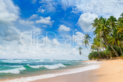 Beautiful ocean and tropical palm trees on the beach