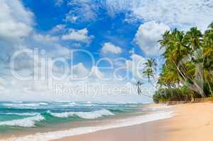 Beautiful ocean and tropical palm trees on the beach