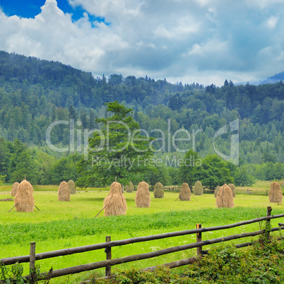Haystacks in the mountain valley