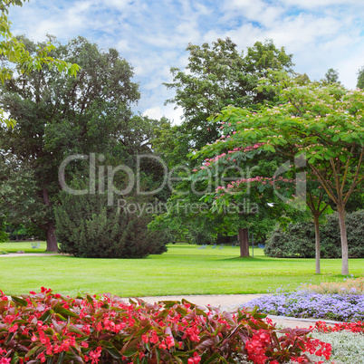 summer park with beautiful flowerbed