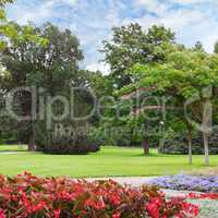 summer park with beautiful flowerbed