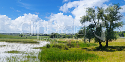 Old lake with aquatic vegetation and picturesque meadows.