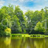 picturesque lake, summer forest and sky