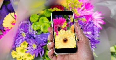 Cropped hand photographing flowers through smart phone