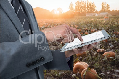 Businessman is touching tablet computer against vegetables fields