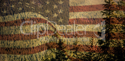 Composite image of digitally generated united states national flag