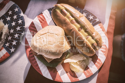 American lunch with hot dog and burger