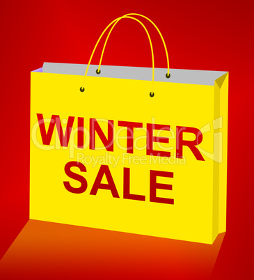 Winter Sale Displays Save Offers 3d Illustration