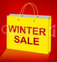 Winter Sale Displays Save Offers 3d Illustration