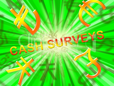 Cash Surveys Means Paid Survey 3d Illustration