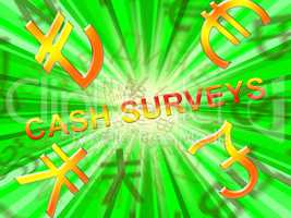 Cash Surveys Means Paid Survey 3d Illustration