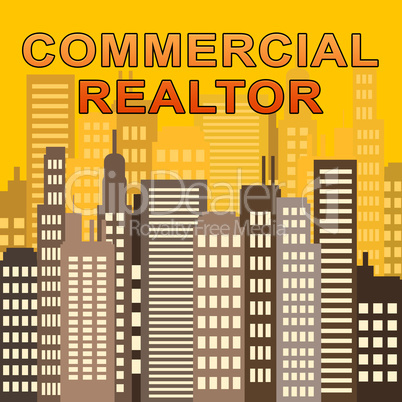 Commercial Realtor Describes Real Estate Offices 3d Illustration