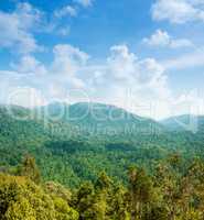 Tropical forest mountain view.