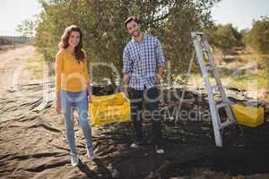 Smiling couple holding crate on sunny day at farm