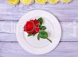 Empty white plate with a red rose