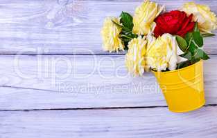 Bouquet of fresh roses in a yellow iron bucket