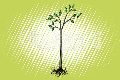 tree seedling with green leaves
