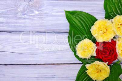 Bouquet of yellow and red roses