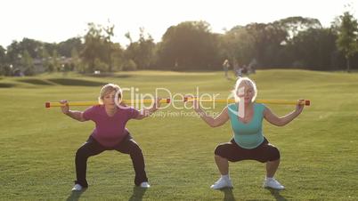 Attractive adult fitness women working out in park