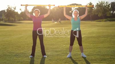 Sporty ladies doing fitness exercise with fitbar