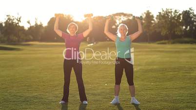 Charming ladies working out with dumbbells in park