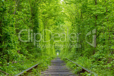 Green Railway Tunnel