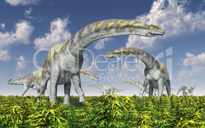 Dinosaurier Argentinosaurus