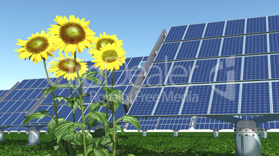 Solaranlagen und Sonnenblumen