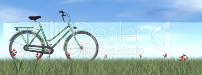 Green lady bicycle - 3D render