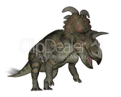 Albertaceratops dinosaur - 3D render