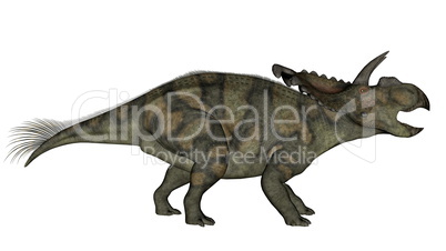 Albertaceratops dinosaur - 3D render