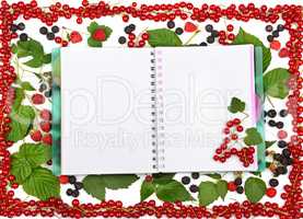 book on the background of currant berries, blackberries and rasp
